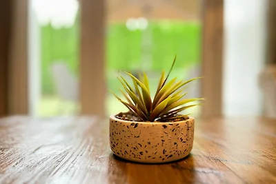 Baltischer Hof Wohnung 6