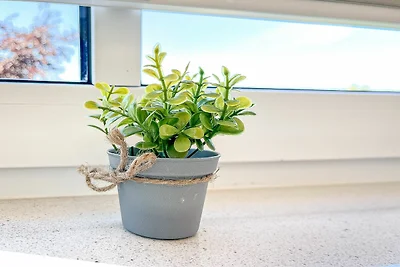 Baltischer Hof Wohnung 52