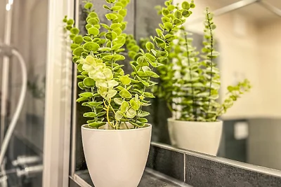 Baltischer Hof Wohnung 01