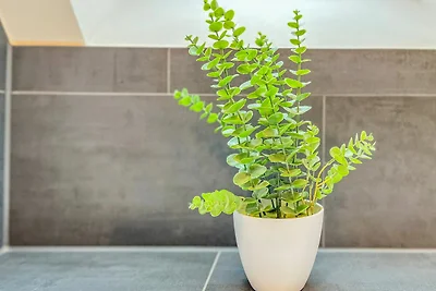 Baltischer Hof Wohnung 57