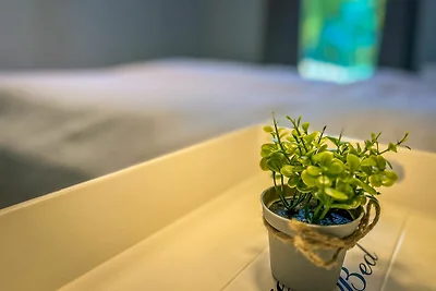 Baltischer Hof Wohnung 42