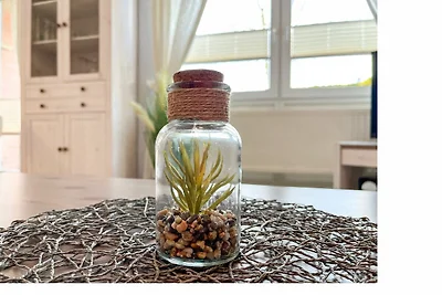 Goosbrink Wohnung 13