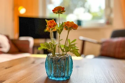 Urlauberdorf Haus 61c