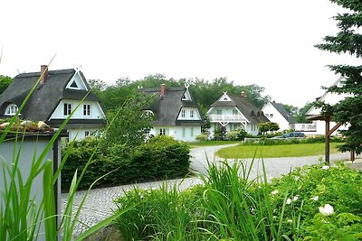 Fulgenbach Wohung 8