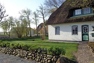 Deichhof "Möwennest" 4 Sterne