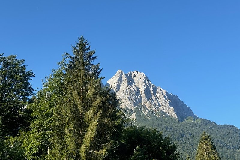 Aussicht vom Balkon