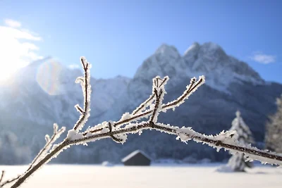 Appartamento di vacanza Höllentalspitze