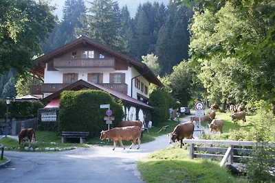 Appartamento Almhüttenweg Alpspitze