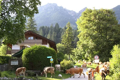 Casa bifamiliare per vacanze Eibsee