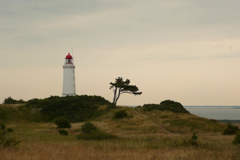 Hiddensee Lighthouse