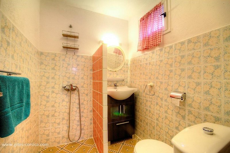 salle de bain fleurie avec miroir et lavabo