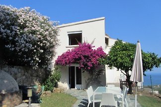 Villa l'Olivier****