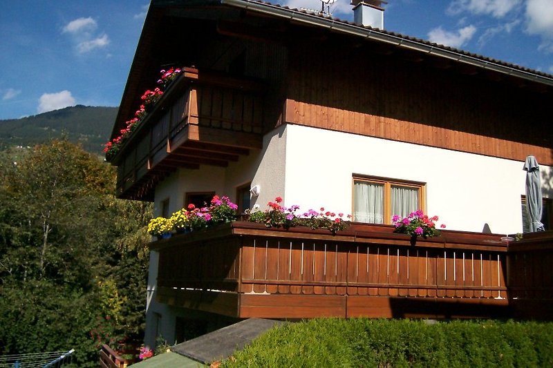 house in summer
