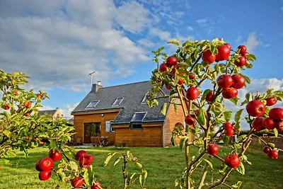 Natur pur : Holzhaus am Meer