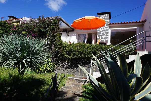 Ferienhaus Caniço de Baixo