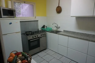 Moderne Küche mit Mikrowelle/Grill, Kühlschrank/Gefrierfach, ohne Spülmaschine Moderne Küche mit Mikrowelle/Grill, Kühlschrank/Gefrierfach, ohne Spülmaschine