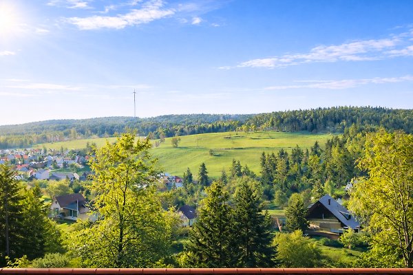 Ferienwohnung Schonach