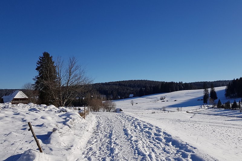 Winter bei Schonach