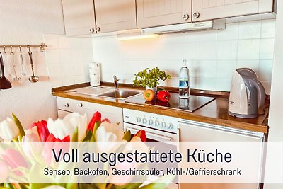 Ferienwohnung Sonnenseite Schonach