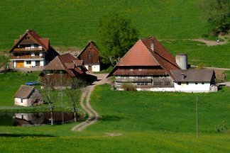 Sägehof 31