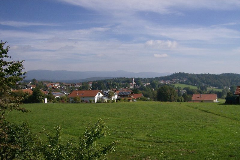 Widok z ogrodu na Klingenbrunn