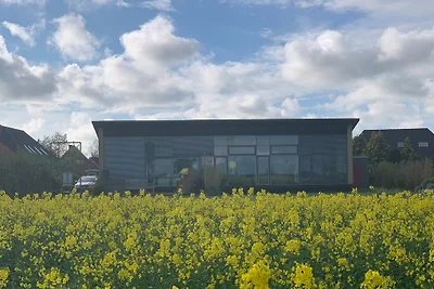 modernes Ferienhaus in Süderdeich
