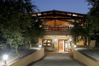 HOUSE OF OLIVE BEACH FRONT