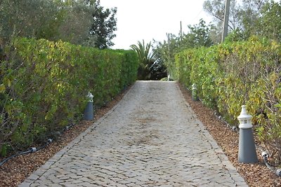 Charmante Villa mit Meerblick