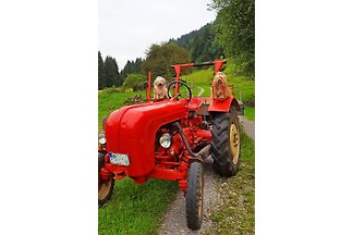 Apartament Dla rodzin Rettenberg