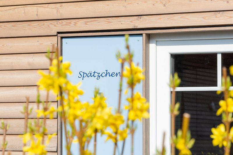 Charmanter Garten mit Sonnenblumen, Ziegelhaus und großen Fenstern.