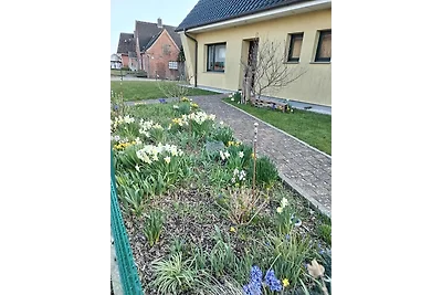 Witt, Bülow