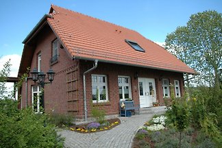 Sommertraum und Apfelwiesen