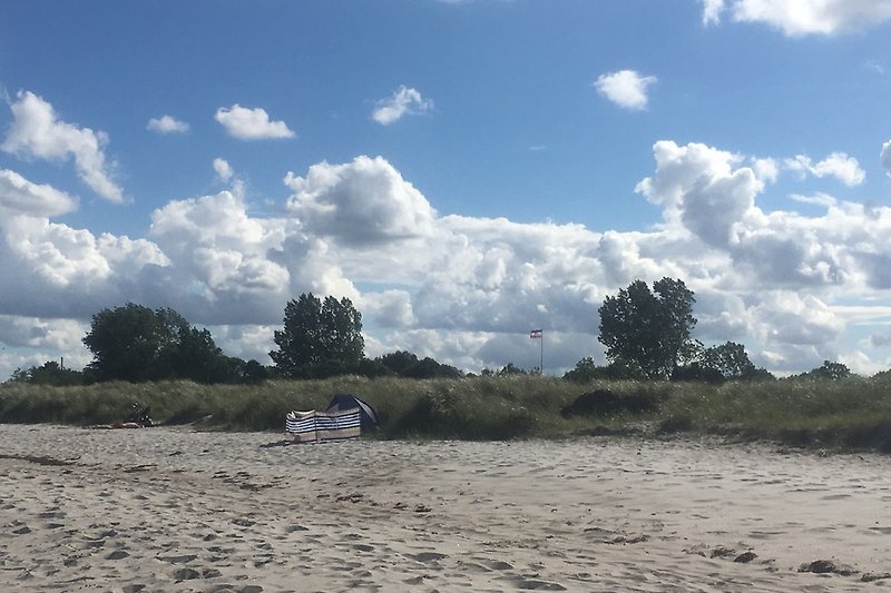 Plaża nad Morzem Bałtyckim w Kronsgaard