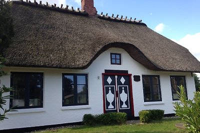 Huis met rieten dak LÜTT HUUS met tuin