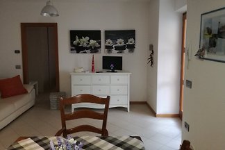 maison Nicolo