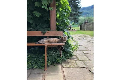 Piccola fattoria Zschirnstein