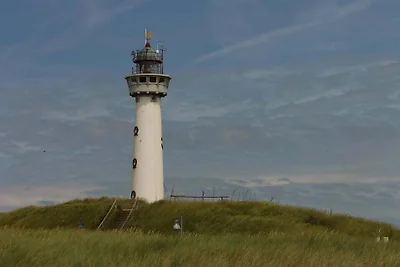 Strand roos