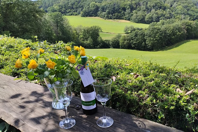 Freistehendes Ferienhaus mit Ausblick!