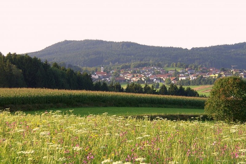 Blick nach Kirchdorf