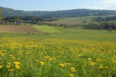 Casa di vacanza Wiese