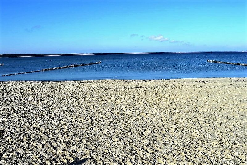 feiner Sandstrand der Ostsee