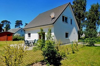 Sanddorn 9