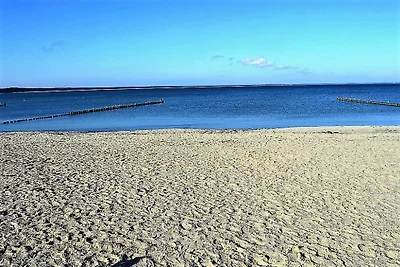 Fewo Bernstein 1 / direkt am Strand