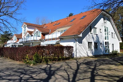 Rügenperle 5