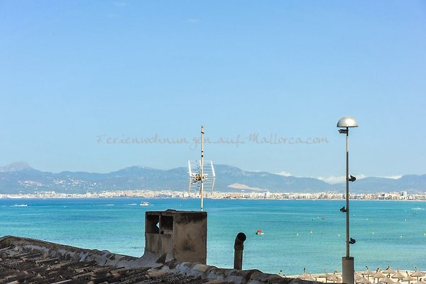 Wohnung Mieten Mallorca El Arenal Wohnung Mieten Mallorca El Arenal