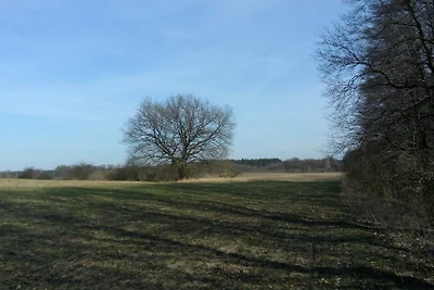Ferienhaus Ina