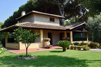 Domek letniskowy Urlop wypoczynkowy San Vincenzo