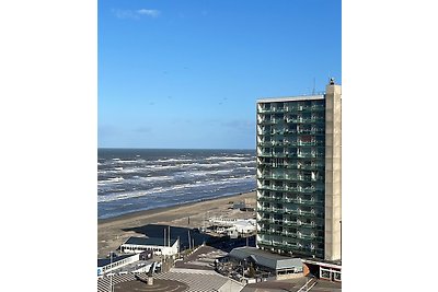 di Berrie vista mare Zandvoort