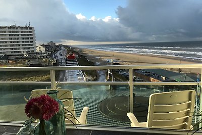 Berrie uitzicht op zee zandvoort