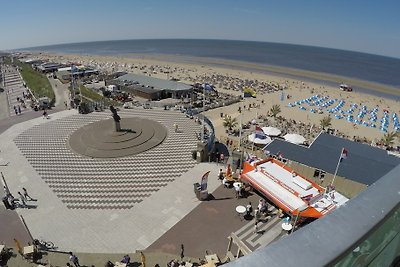 di Berrie vista mare Zandvoort